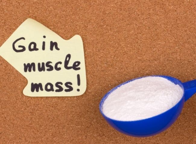 How Much Protein Intake While Cutting Or Bulking? | And Gain Strength! 2 Muscle Gain