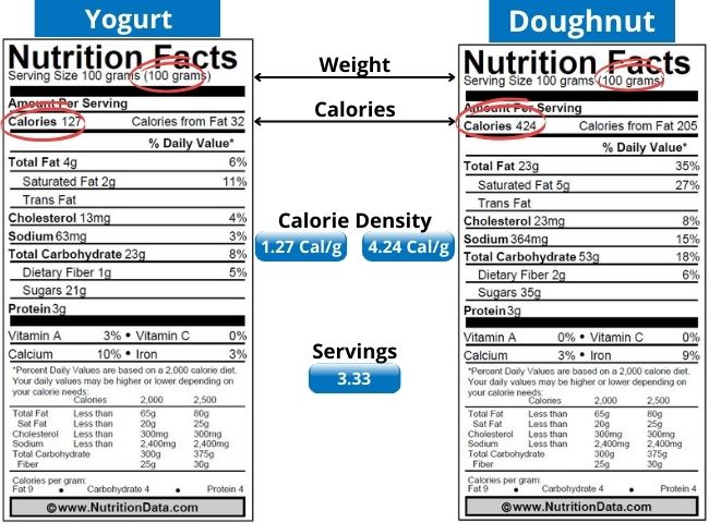 Top 7 Foods That Burn Belly Fast 11 YogurtD