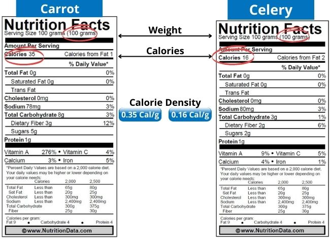 Top 7 Foods That Burn Belly Fast 14 carrotc