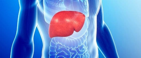 How To Speed Up Digestion 3 Liver