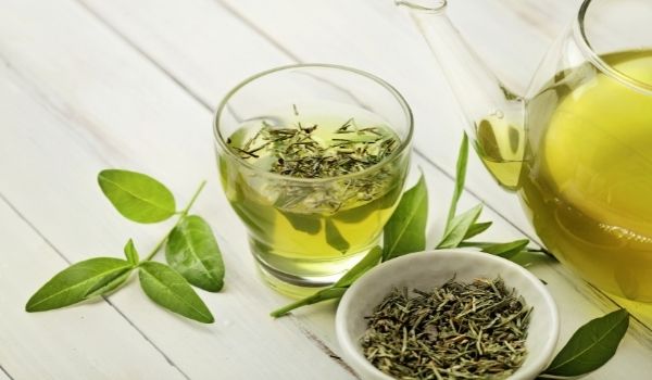 does-green-tea-help-with-bloating-howtonic