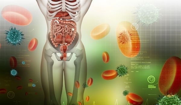 Does Green Tea Help With Bloating? 2 Green Tea And Digestion