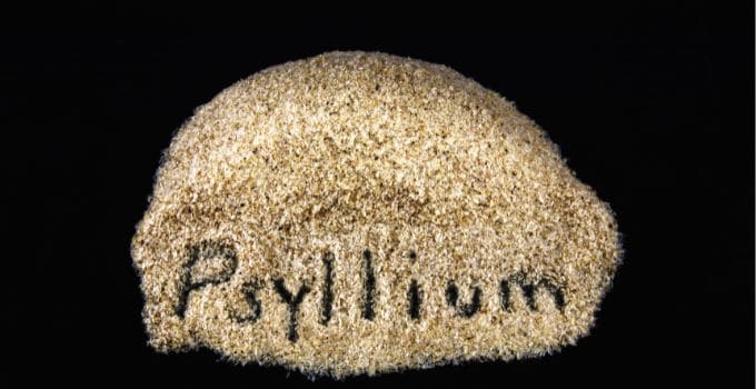 Does Metamucil Break A Fast? 2 psyllium